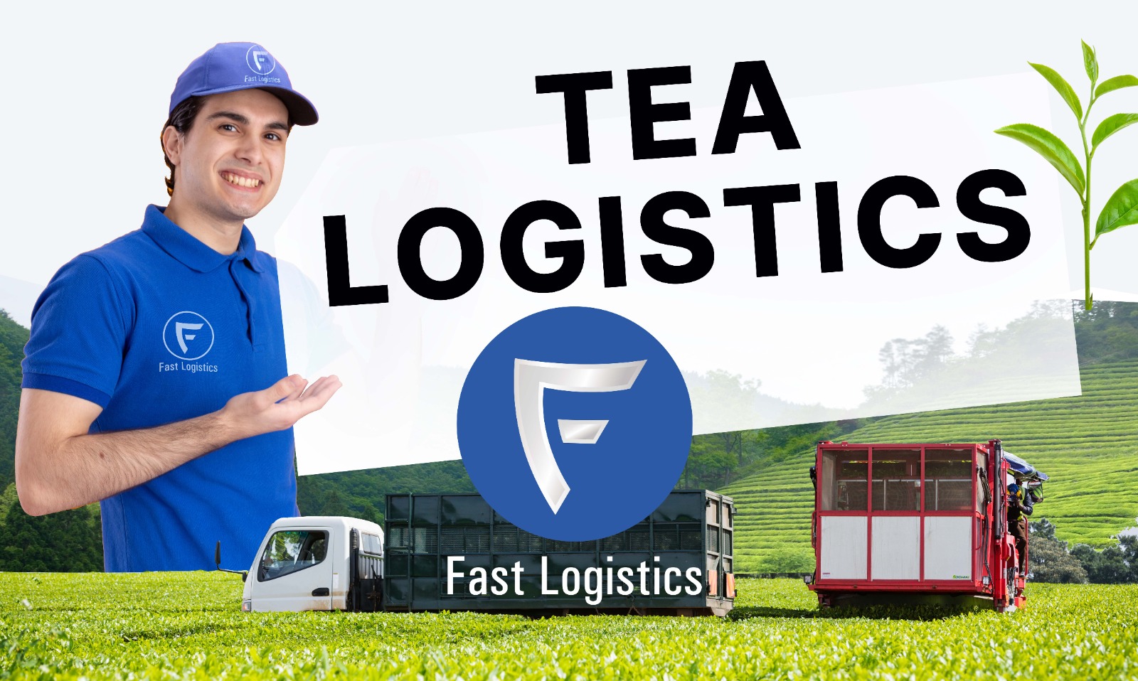 tea logistics