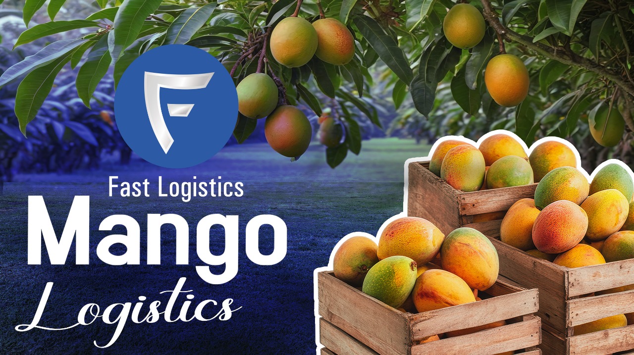 Mango Logistics