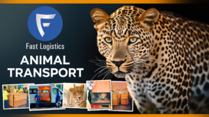 Animal Transport