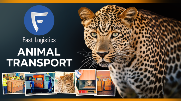 Animal Transport