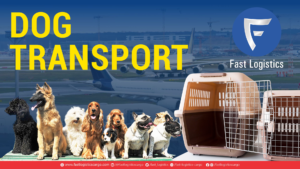Dog Transport
